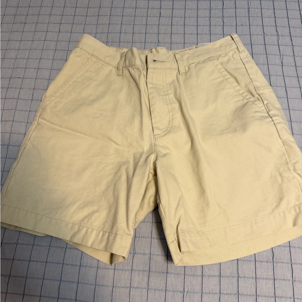 Patagonia organic cotton canvas shorts 32